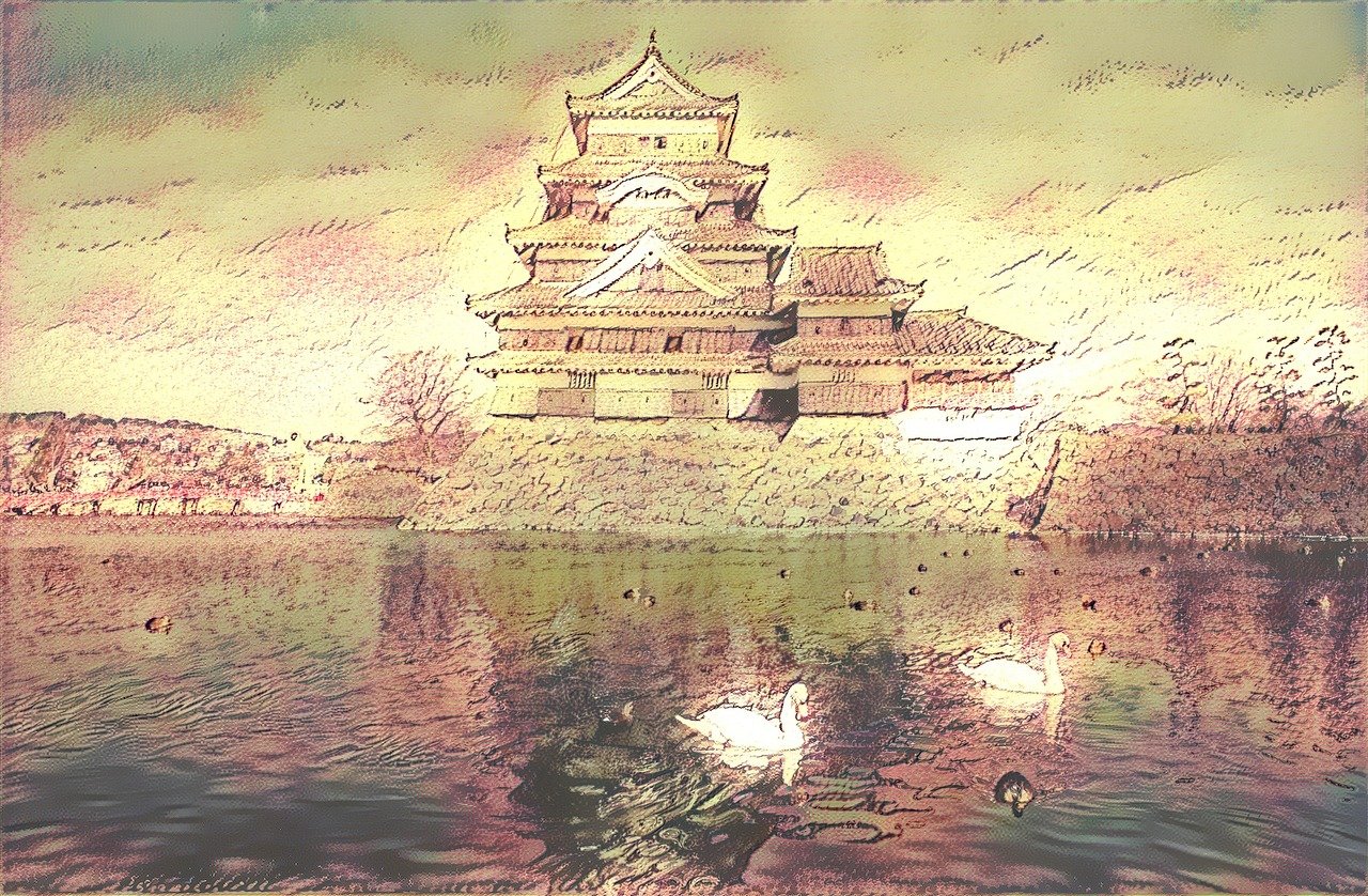 最新花鸟书法作品，传统艺术的现代呈现之美
