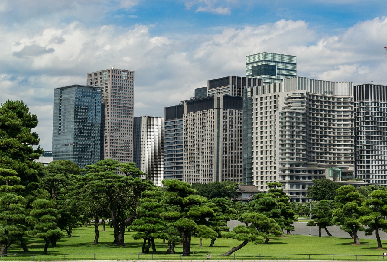 嘉兴市最新住宅项目，探索现代城市居住新篇章