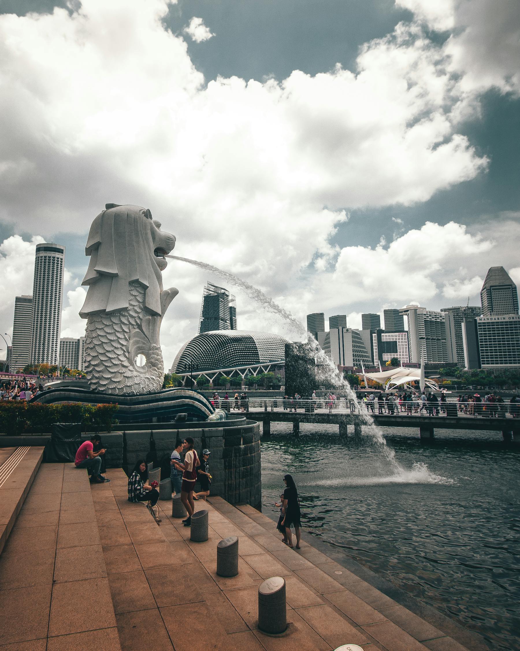 谷露电影，探索电影艺术魅力的独特之旅