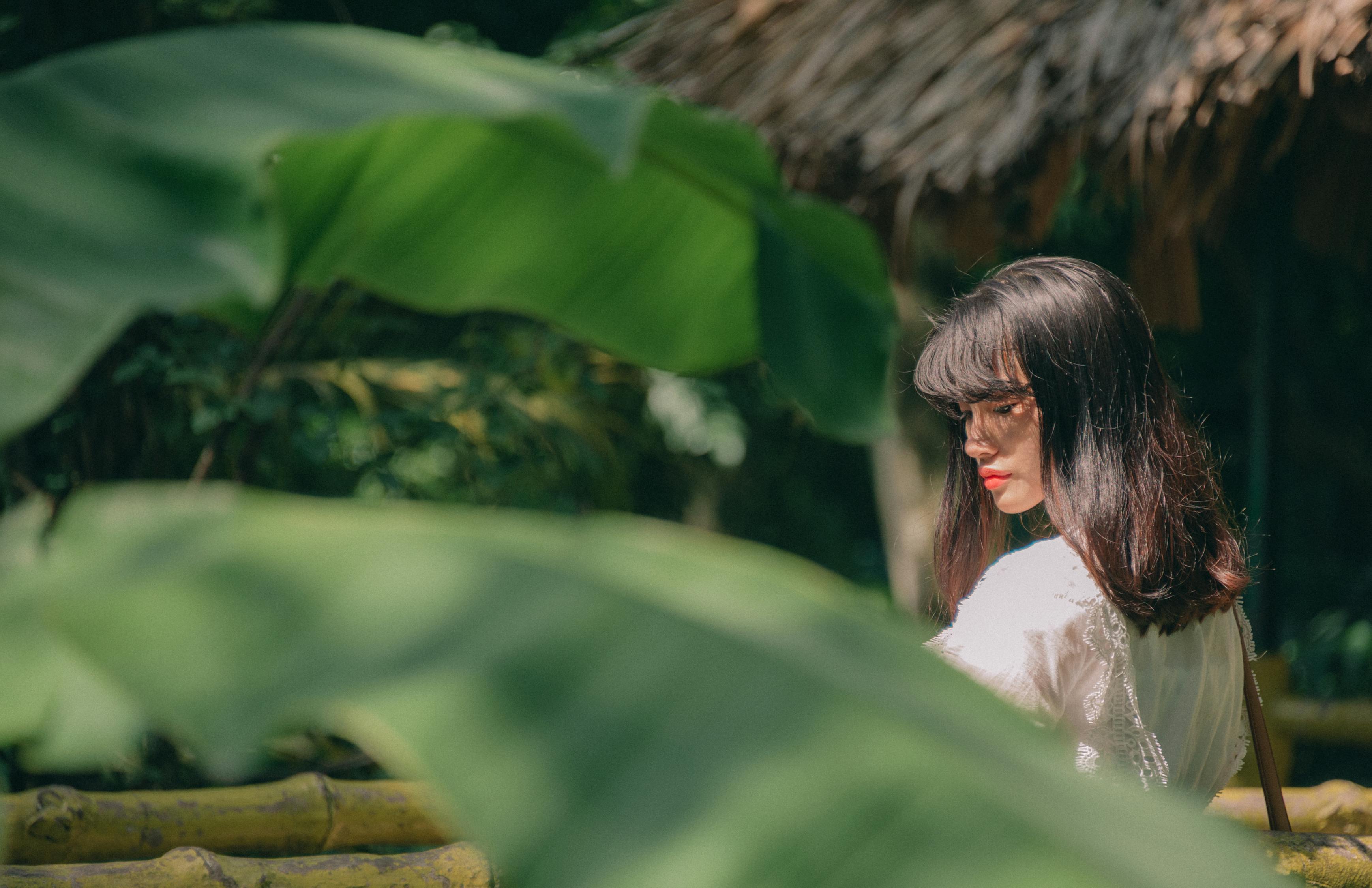 破茧成蝶的传奇之旅，最新女修仙故事